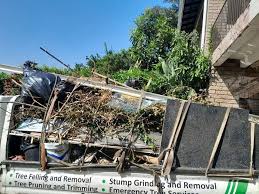 Trusted Shafter, CA Junk Removal Experts